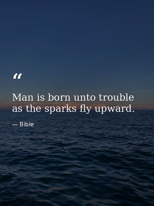 Man is born unto trouble  as the sparks fly upward. — Bible