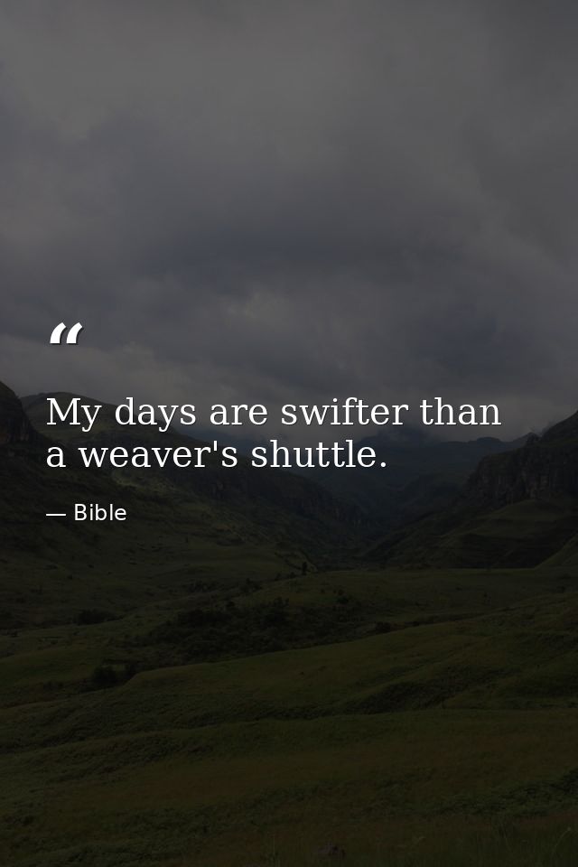 My days are swifter than a weaver's shuttle. — Bible