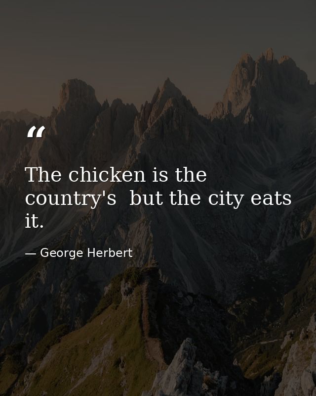 The chicken is the country's  but the city eats it. — George Herbert