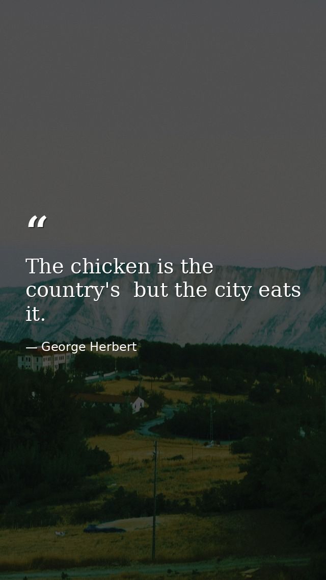 The chicken is the country's  but the city eats it. — George Herbert