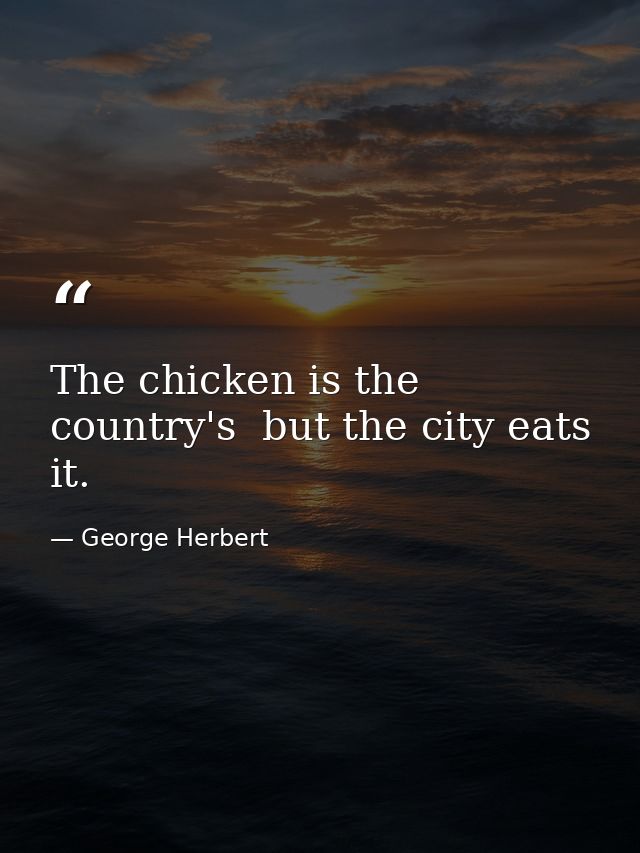 The chicken is the country's  but the city eats it. — George Herbert