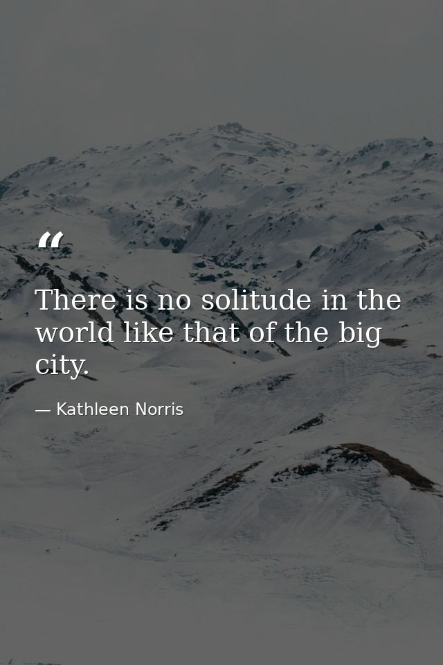 There is no solitude in the world like that of the big city. — Kathleen Norris