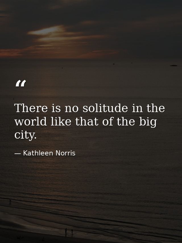 There is no solitude in the world like that of the big city. — Kathleen Norris