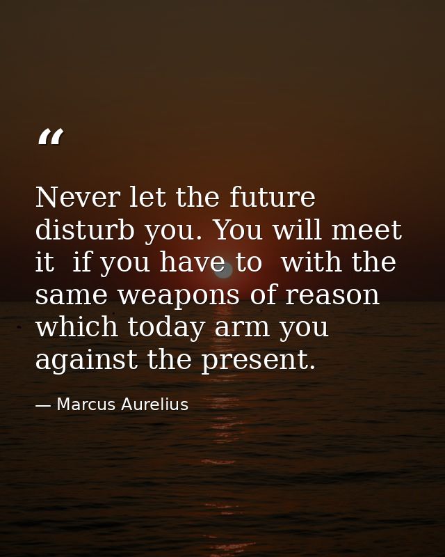Never let the future disturb you. You will meet it  if you have to  with the same weapons of reason which today arm you  — Marcus Aurelius