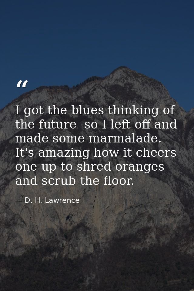I got the blues thinking of the future  so I left off and made some marmalade. It's amazing how it cheers one up to shre — D. H. Lawrence