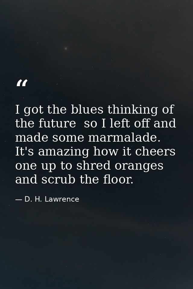 I got the blues thinking of the future  so I left off and made some marmalade. It's amazing how it cheers one up to shre — D. H. Lawrence