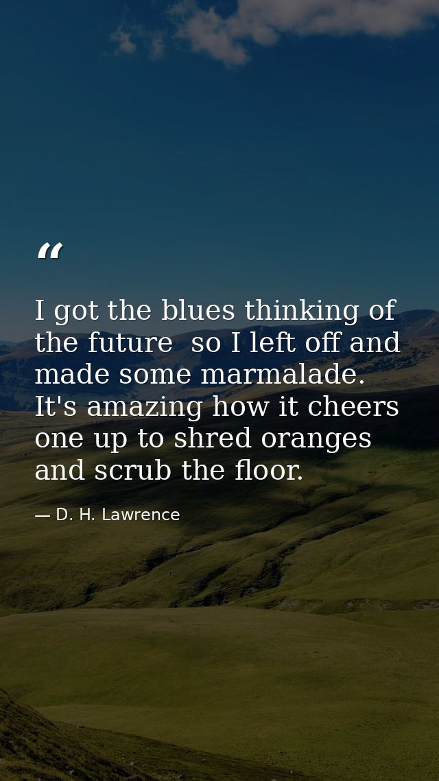 I got the blues thinking of the future  so I left off and made some marmalade. It's amazing how it cheers one up to shre — D. H. Lawrence