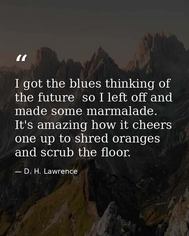 I got the blues thinking of the future  so I left off and made some marmalade. It's amazing how it cheers one up to shre — D. H. Lawrence