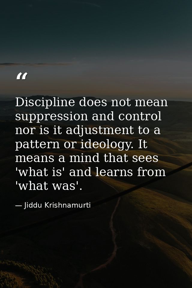 Discipline does not mean suppression and control  nor is it adjustment to a pattern or ideology. It means a mind that se — Jiddu Krishnamurti