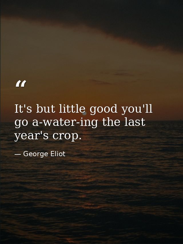 It's but little good you'll go a-water-ing the last year's crop. — George Eliot