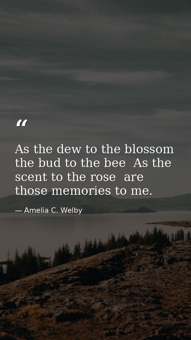 As the dew to the blossom  the bud to the bee  As the scent to the rose  are those memories to me. — Amelia C. Welby