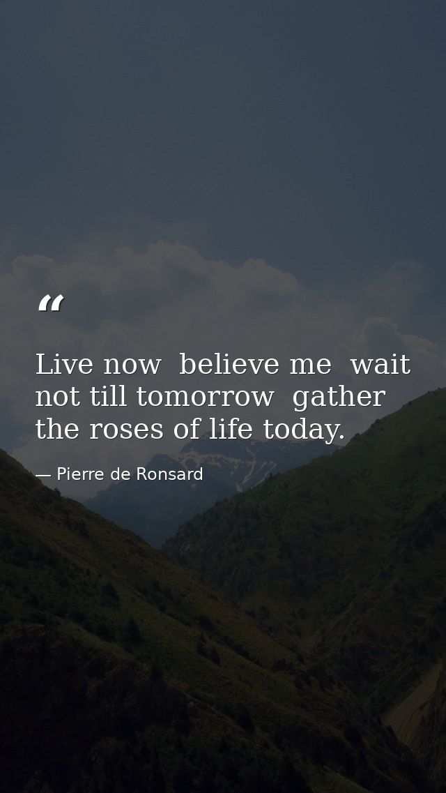 Live now  believe me  wait not till tomorrow  gather the roses of life today. — Pierre de Ronsard