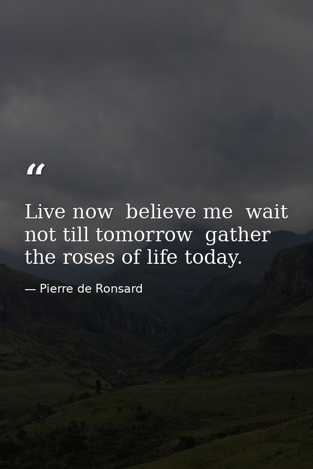 Live now  believe me  wait not till tomorrow  gather the roses of life today. — Pierre de Ronsard
