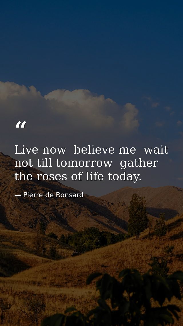 Live now  believe me  wait not till tomorrow  gather the roses of life today. — Pierre de Ronsard