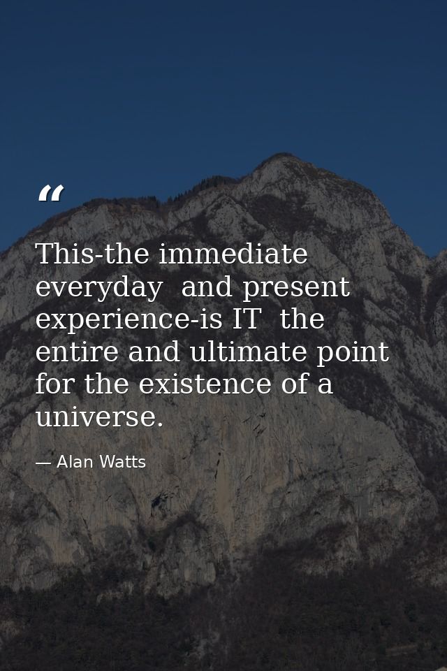 This-the immediate  everyday  and present experience-is IT  the entire and ultimate point for the existence of a univers — Alan Watts