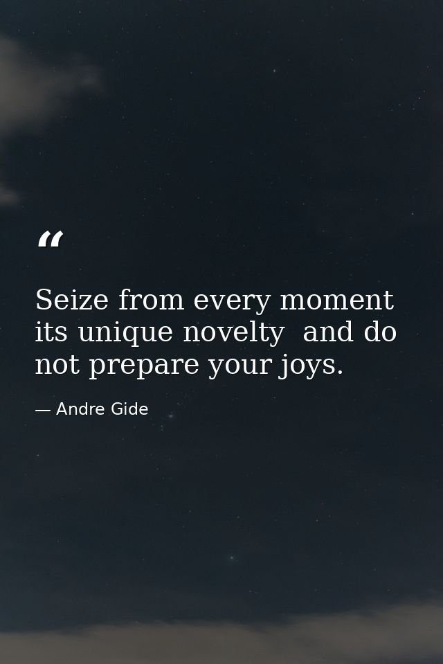 Seize from every moment its unique novelty  and do not prepare your joys. — Andre Gide