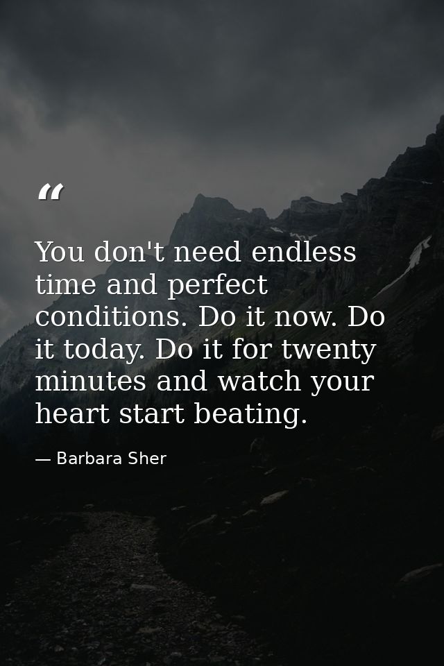You don't need endless time and perfect conditions. Do it now. Do it today. Do it for twenty minutes and watch your hear — Barbara Sher