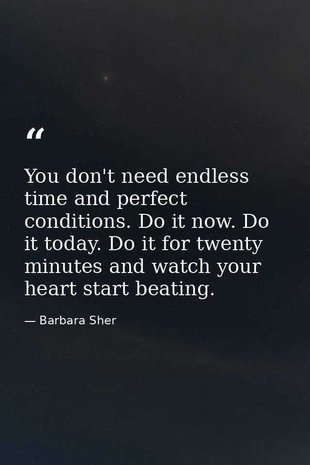 You don't need endless time and perfect conditions. Do it now. Do it today. Do it for twenty minutes and watch your hear — Barbara Sher