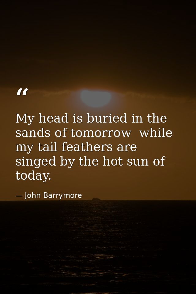 My head is buried in the sands of tomorrow  while my tail feathers are singed by the hot sun of today. — John Barrymore