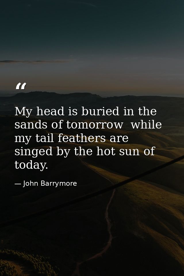 My head is buried in the sands of tomorrow  while my tail feathers are singed by the hot sun of today. — John Barrymore