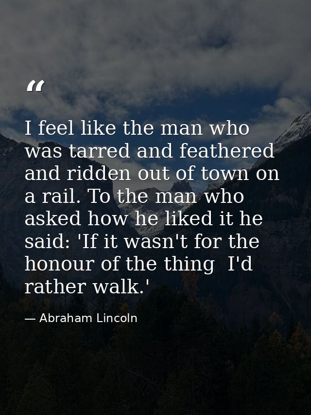 I feel like the man who was tarred and feathered and ridden out of town on a rail. To the man who asked how he liked it  — Abraham Lincoln