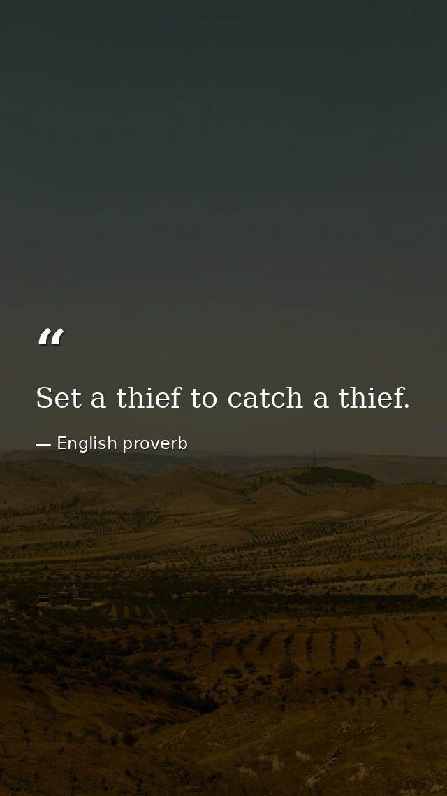 Set a thief to catch a thief. — English proverb