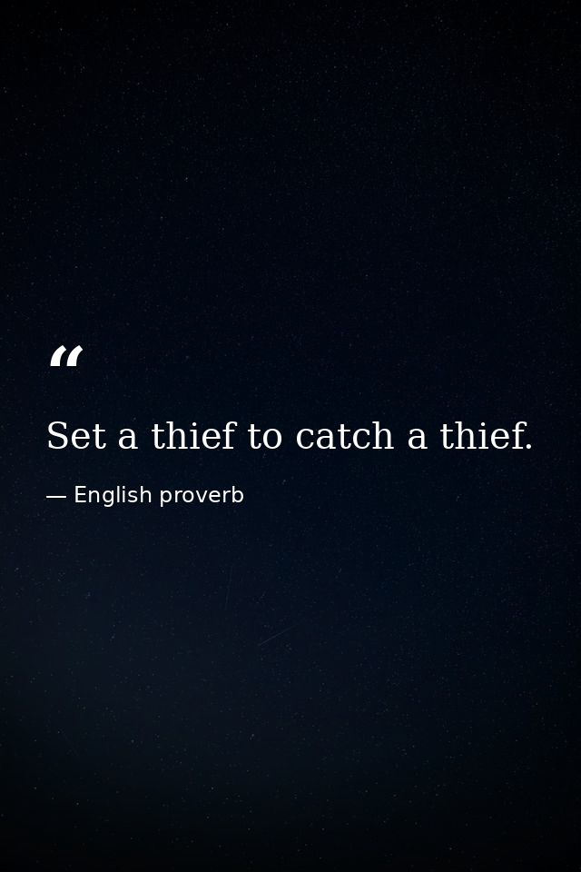 Set a thief to catch a thief. — English proverb