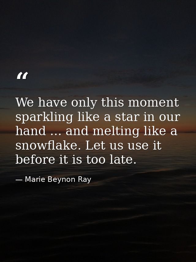 We have only this moment  sparkling like a star in our hand ... and melting like a snowflake. Let us use it before it is — Marie Beynon Ray