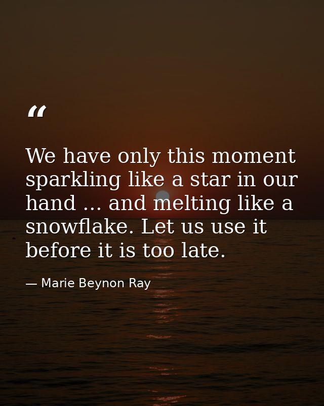 We have only this moment  sparkling like a star in our hand ... and melting like a snowflake. Let us use it before it is — Marie Beynon Ray
