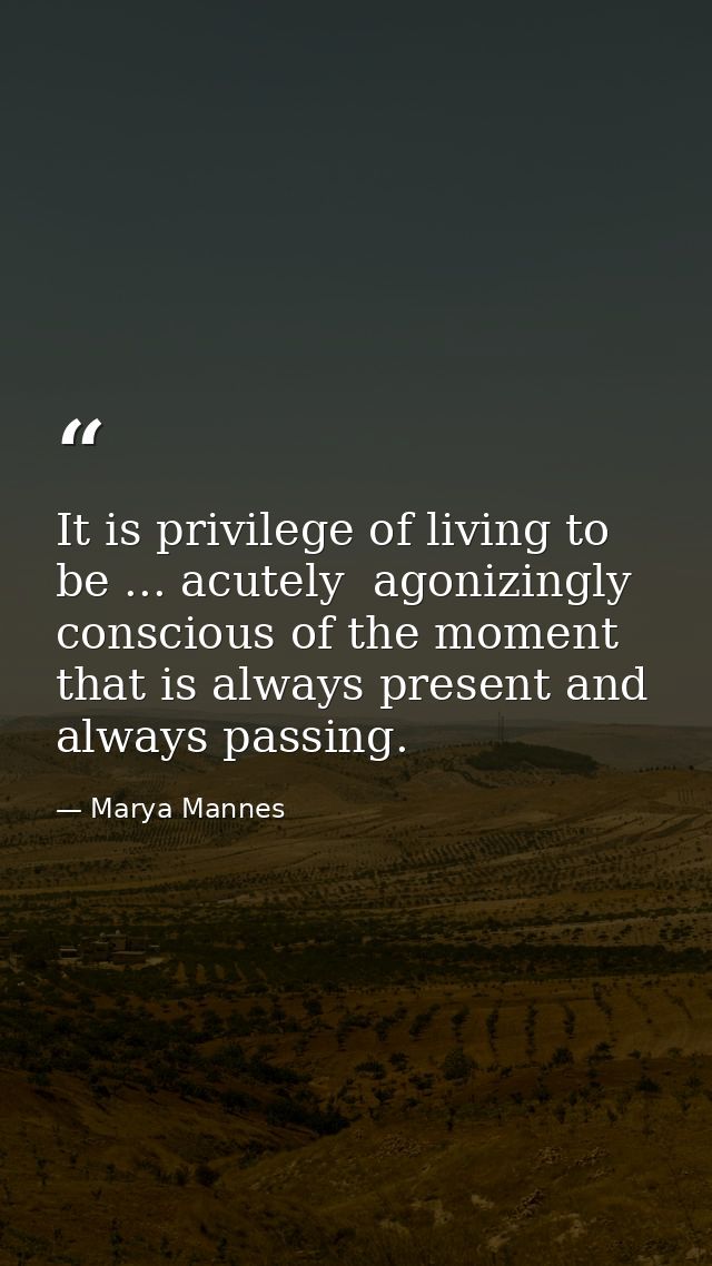 It is privilege of living to be ... acutely  agonizingly conscious of the moment that is always present and always passi — Marya Mannes
