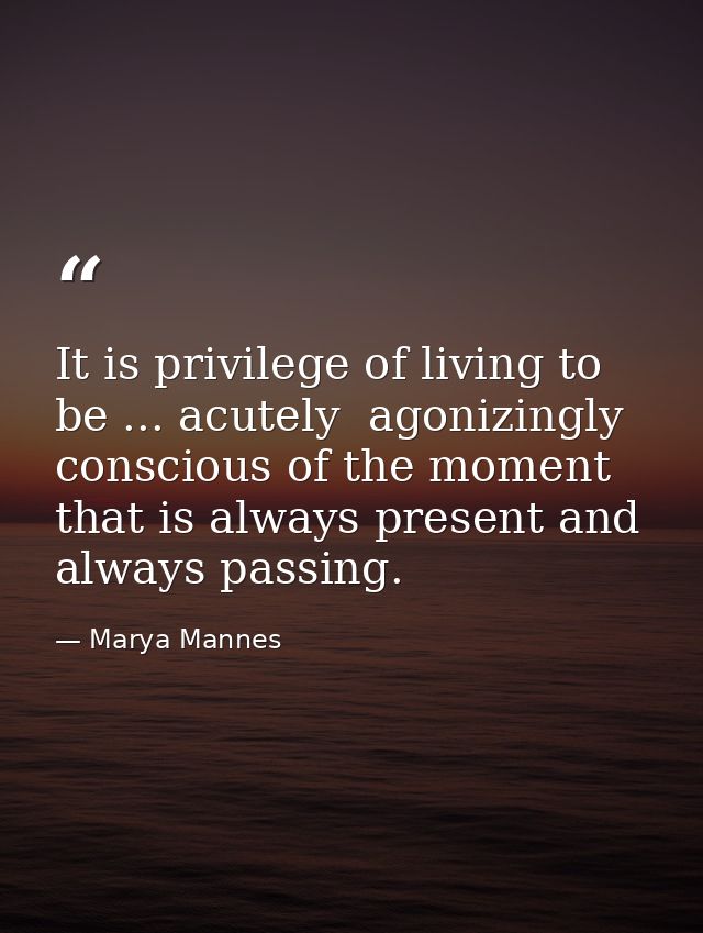 It is privilege of living to be ... acutely  agonizingly conscious of the moment that is always present and always passi — Marya Mannes
