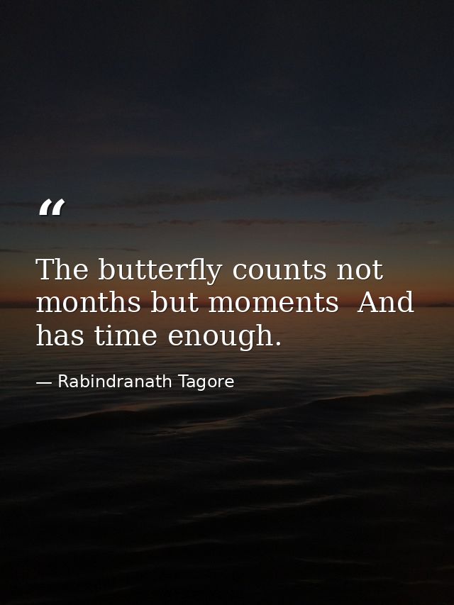 The butterfly counts not months but moments  And has time enough. — Rabindranath Tagore