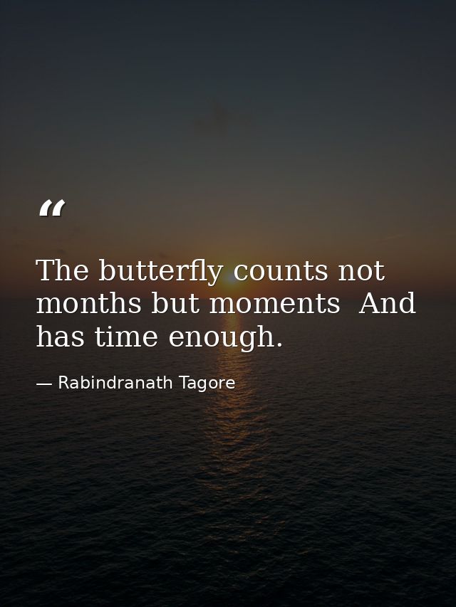 The butterfly counts not months but moments  And has time enough. — Rabindranath Tagore