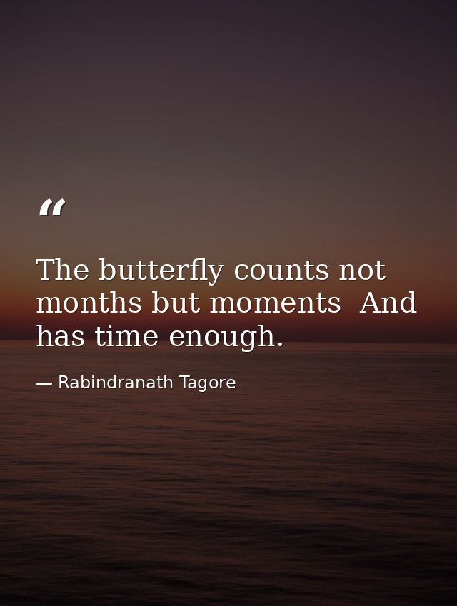 The butterfly counts not months but moments  And has time enough. — Rabindranath Tagore