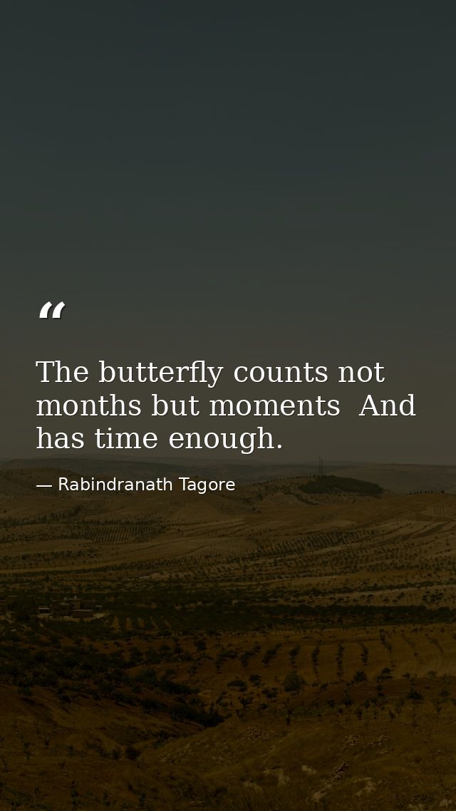The butterfly counts not months but moments  And has time enough. — Rabindranath Tagore