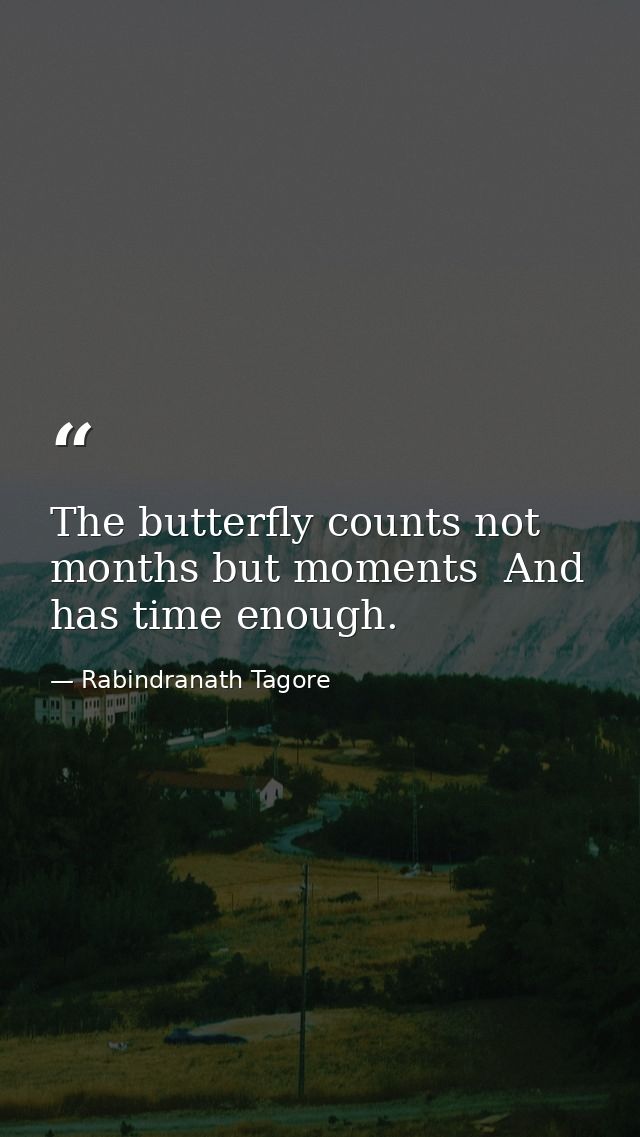 The butterfly counts not months but moments  And has time enough. — Rabindranath Tagore