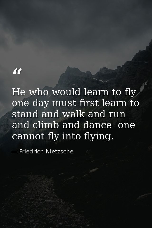 He who would learn to fly one day must first learn to stand and walk and run and climb and dance  one cannot fly into fl — Friedrich Nietzsche