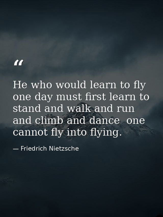 He who would learn to fly one day must first learn to stand and walk and run and climb and dance  one cannot fly into fl — Friedrich Nietzsche