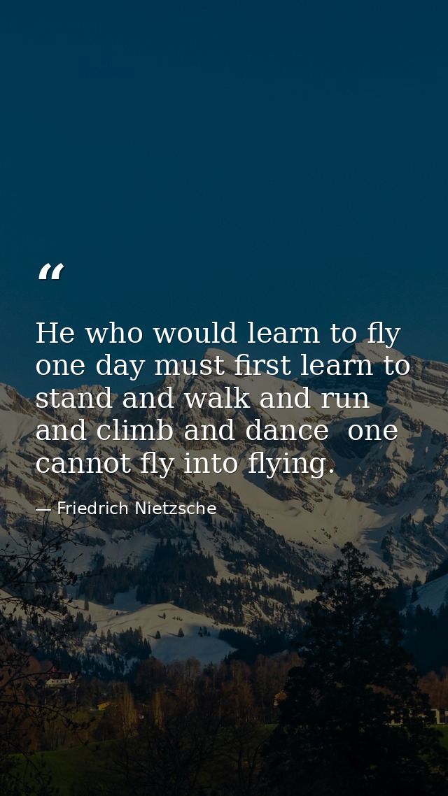 He who would learn to fly one day must first learn to stand and walk and run and climb and dance  one cannot fly into fl — Friedrich Nietzsche