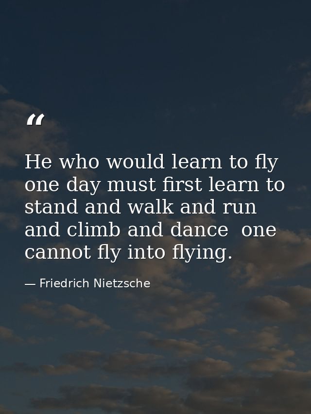 He who would learn to fly one day must first learn to stand and walk and run and climb and dance  one cannot fly into fl — Friedrich Nietzsche