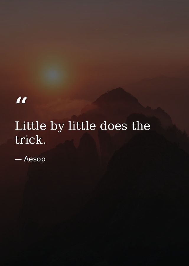 Little by little does the trick. — Aesop
