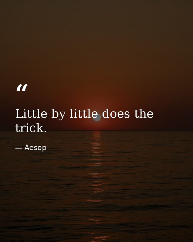 Little by little does the trick. — Aesop