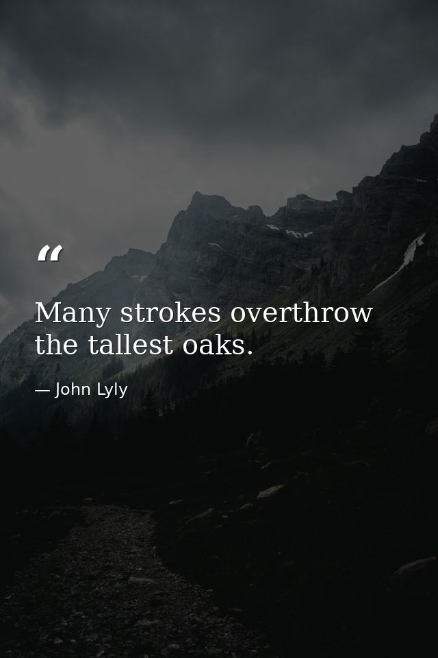 Many strokes overthrow the tallest oaks. — John Lyly