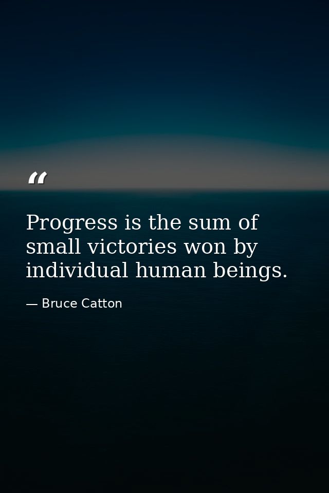 Progress is the sum of small victories won by individual human beings. — Bruce Catton