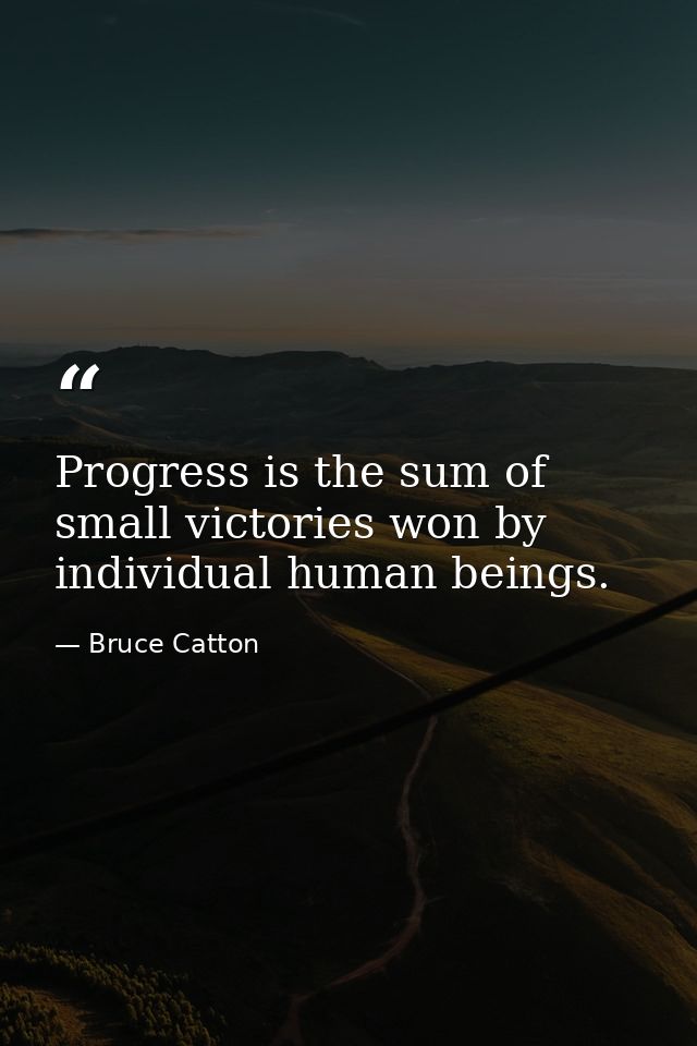 Progress is the sum of small victories won by individual human beings. — Bruce Catton