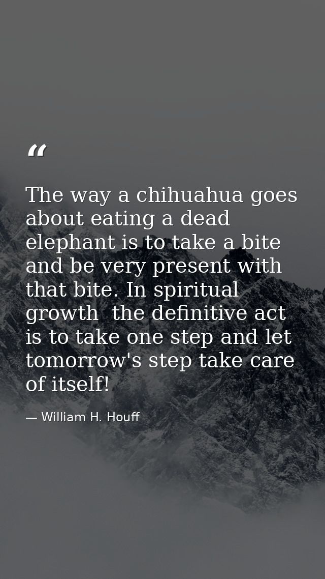 The way a chihuahua goes about eating a dead elephant is to take a bite and be very present with that bite. In spiritual — William H. Houff