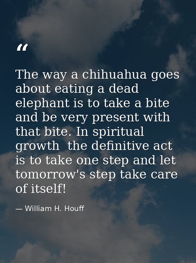 The way a chihuahua goes about eating a dead elephant is to take a bite and be very present with that bite. In spiritual — William H. Houff
