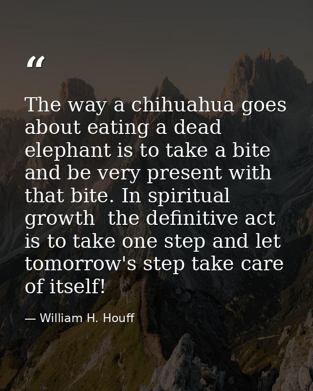 The way a chihuahua goes about eating a dead elephant is to take a bite and be very present with that bite. In spiritual — William H. Houff