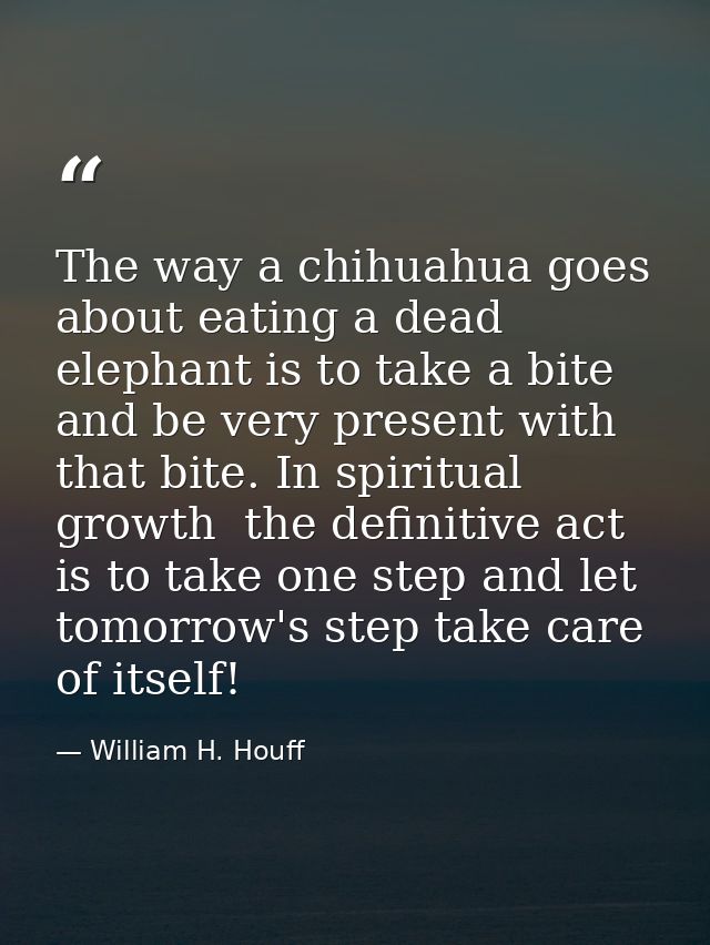 The way a chihuahua goes about eating a dead elephant is to take a bite and be very present with that bite. In spiritual — William H. Houff
