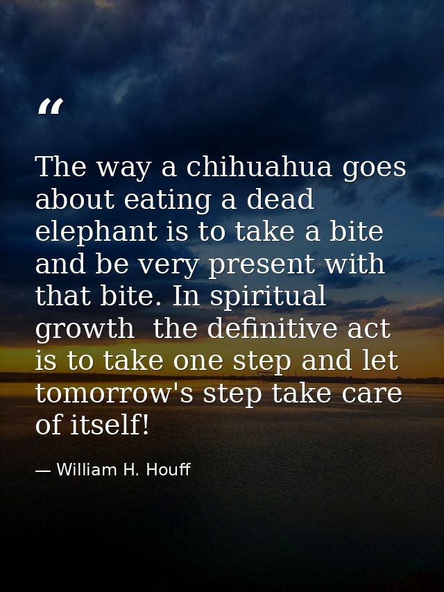 The way a chihuahua goes about eating a dead elephant is to take a bite and be very present with that bite. In spiritual — William H. Houff